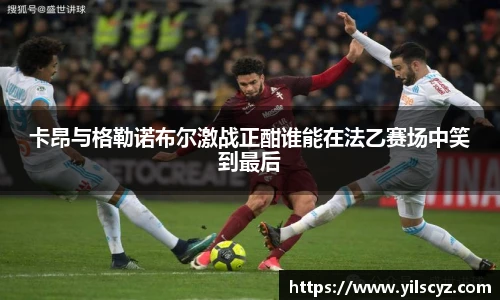 智博19有限公司